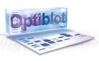 Гель полиакриламидный готовый, Optiblot SDS Gel 4-8% (8x10 см), 12 лунок, Abcam