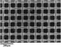 Фильтр, Нейлон, d отверстий 41 мкм, d мембраны 47 мм, 100 шт., Merck (Millipore)