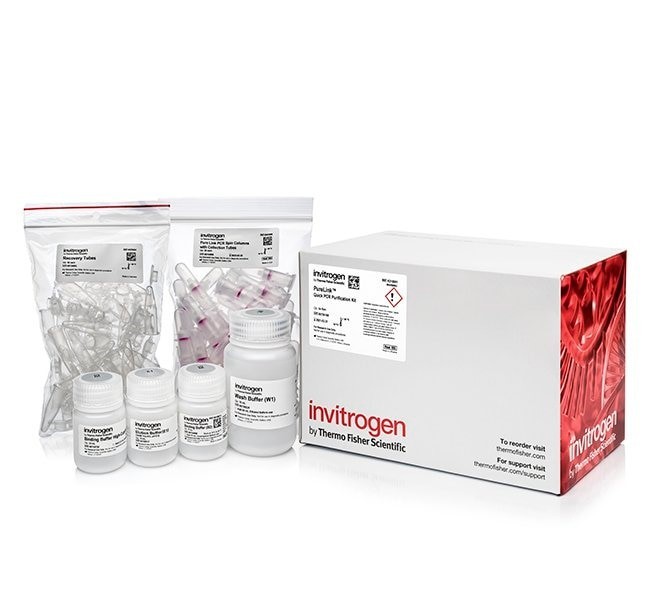 Набор PureLink PCR Purification Kit, Thermo FS