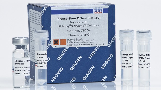 Набор для ДНКазной обработки образцов РНК RNAse-Free DNAse Set, Qiagen