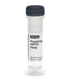 Набор AP3B1 CNV PrimePCR ddPCR, 200 реакций, Bio-Rad