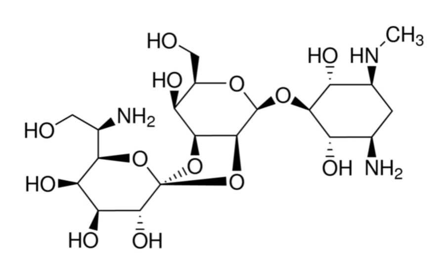 Гигромицин Hygromycin-B, 60,0% From Streptomyces hygroscopicus Plant Culture Tested, CDH