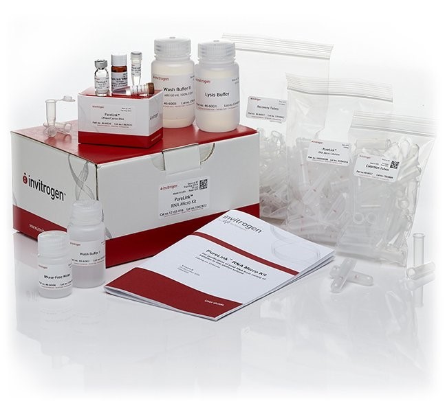 Набор PureLink RNA Micro Scale Kit, Thermo FS