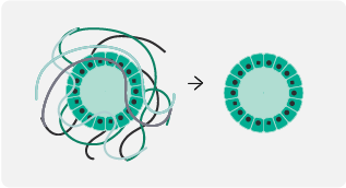 Набор nadia3D Kit, для инкапсуляции клеток, Dolomite Microfluidics