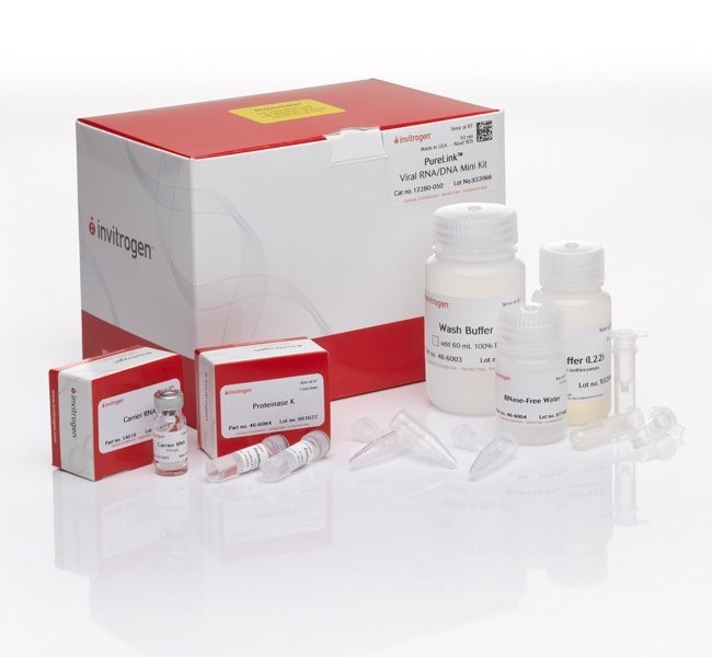 Набор PureLink Viral RNA/DNA Mini Kit, Thermo FS, Thermo FS