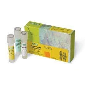 Набор iScript cDNA Synthesis Kit, Bio-Rad