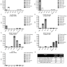 Набор для конъюгации антител PE / R-Phycoerythrin Conjugation Kit, Lightning-Link, Abcam