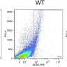 Набор для конъюгации антител PE / R-Phycoerythrin Conjugation Kit, Lightning-Link, Abcam