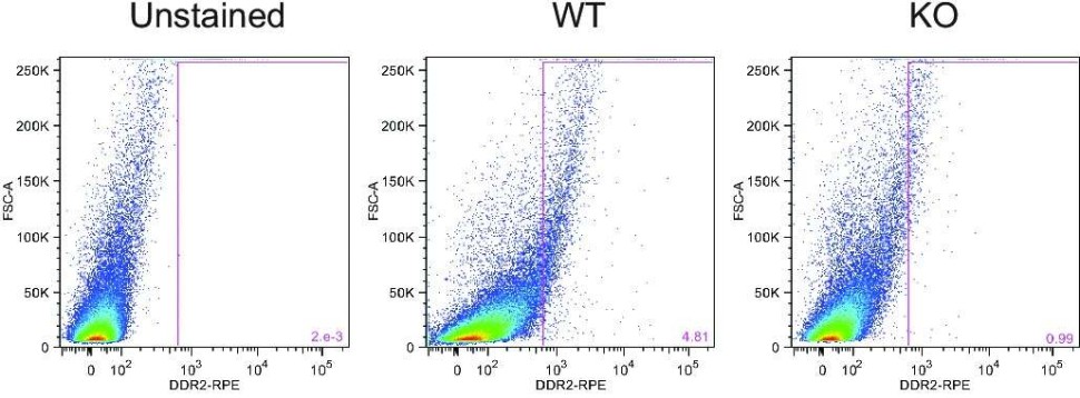 Набор для конъюгации антител PE / R-Phycoerythrin Conjugation Kit, Lightning-Link, Abcam