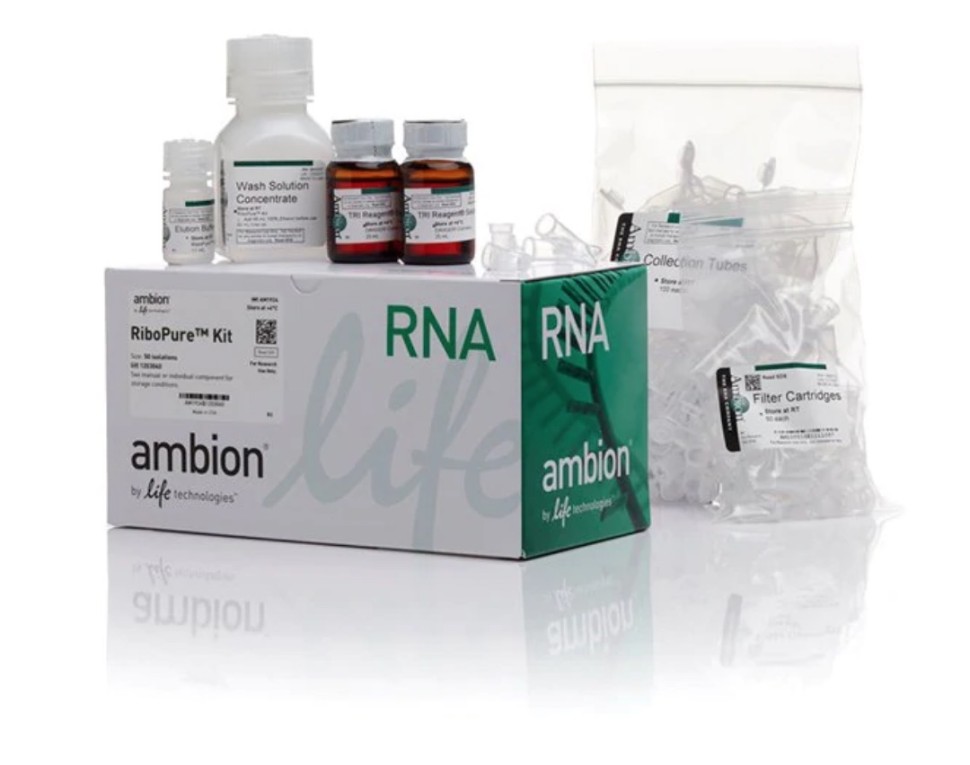 Набор RiboPure RNA Purification Ki, Thermo FS