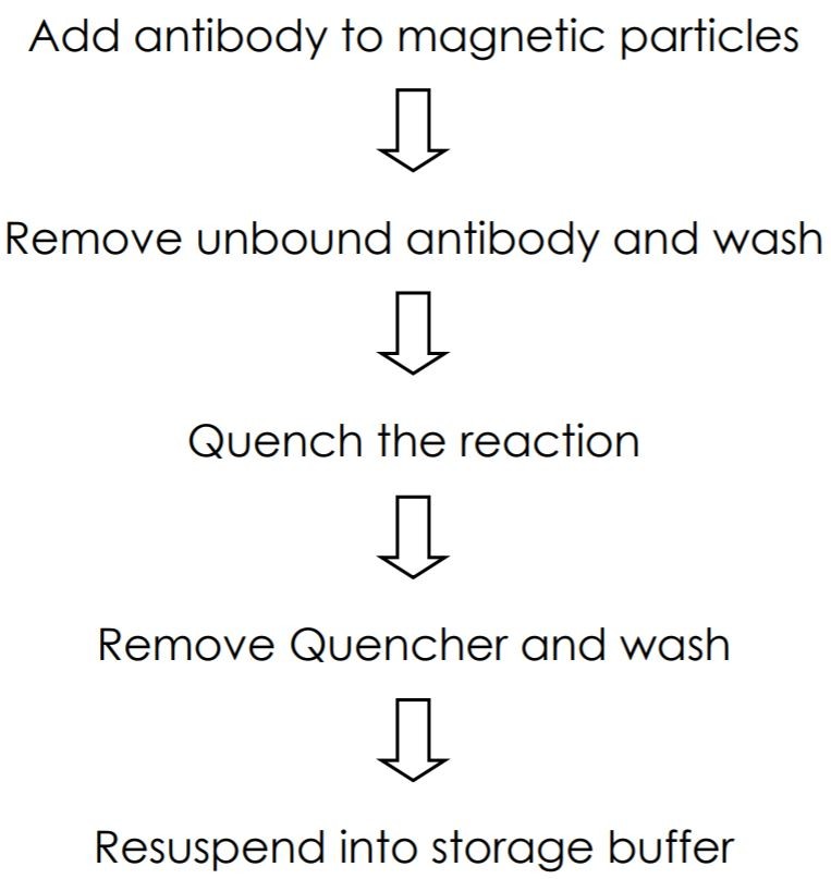 Набор для конъюгации антител с магнитными частицами Magnetic Conjugation Kit, Abcam