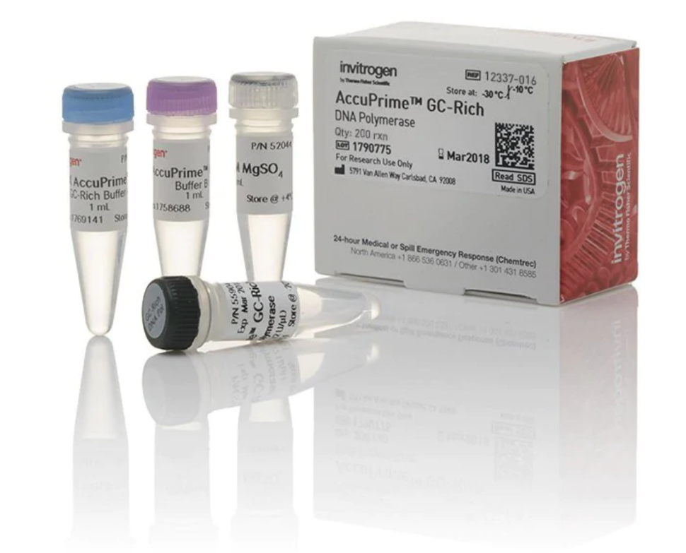 ДНК-полимераза AccuPrime GC-Rich DNA Polymerase, Thermo FS