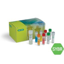 Набор для ОТ-количественной ПЦР SingleShot SYBR Green Kit, Bio-Rad