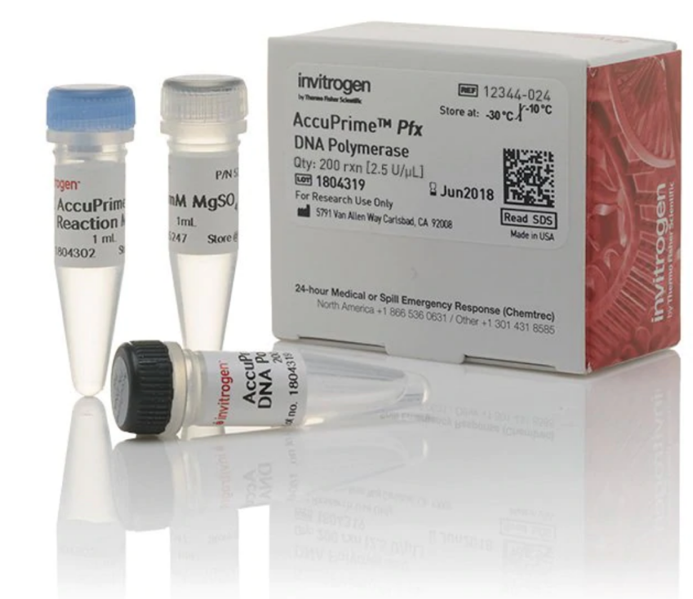 ДНК-полимераза AccuPrime Pfx DNA Polymerase, Thermo FS