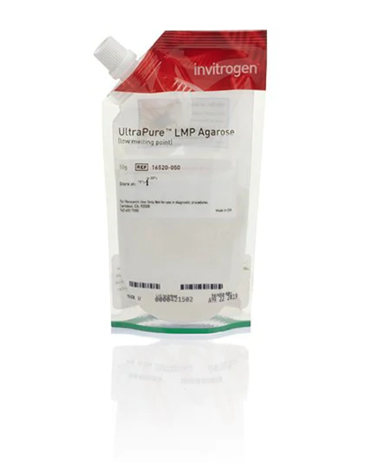 Агароза легкоплавкая/Low Melting Point Agarose, UltraPure, Thermo FS