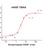 Фактор роста гепатоцитов человека, рекомбинантный белок, rhHGF 728AA, Россия