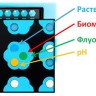 Планшет с круглыми лунками, непрозрачный, без оптодов, 10 шт., M2p-labs