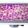 Микроскоп цифровой Levenhuk D85L LCD, монокулярный