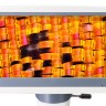 Микроскоп цифровой Levenhuk D95L LCD, монокулярный