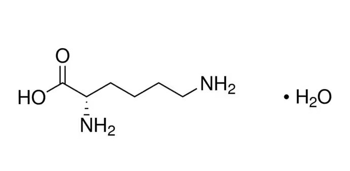 Лизин-L моногидрат, 98,5-101,0%, pure DAB (pharma grade), neoFroxx