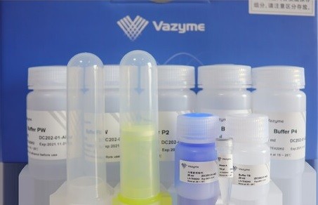 Набор для макси выделения плазмидной ДНК свободной от эндотоксинов, FastPure EndoFree Plasmid Maxi, Vazyme, Китай