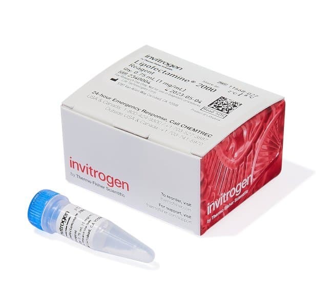 Реагент для трансфекции Lipofectamine 2000, Thermo FS