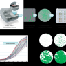 Система многопараметрического анализа клеток CloneSelect Imager, Molecular Devices