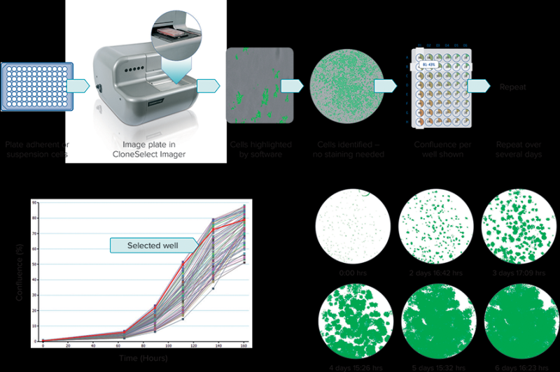 Система многопараметрического анализа клеток CloneSelect Imager, Molecular Devices