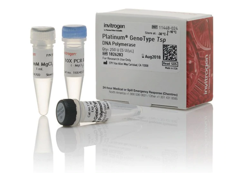 ДНК-полимераза Platinum GenoType Tsp DNA Polymerase, Thermo FS