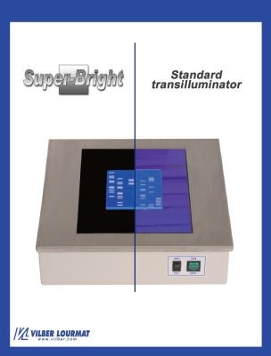 Трансиллюминатор, 312 нм, 210х260 мм, стандартный, лампы 6х8 Вт, Super-Bright, ECX-F26.MX V1, Vilber