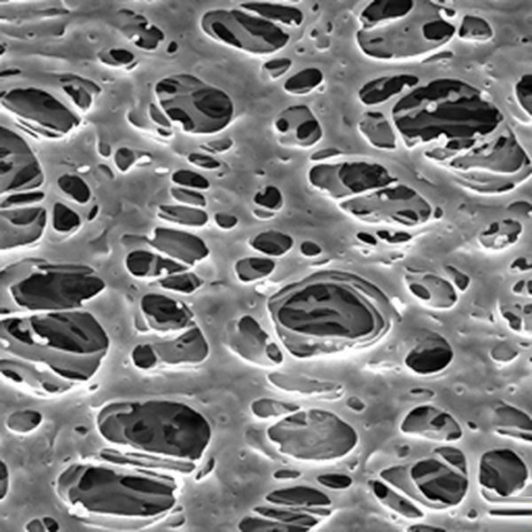 Фильтр, Экспресс, d пор 0,45 мкм, d мембраны 13 мм, 100 шт., Merck (Millipore)