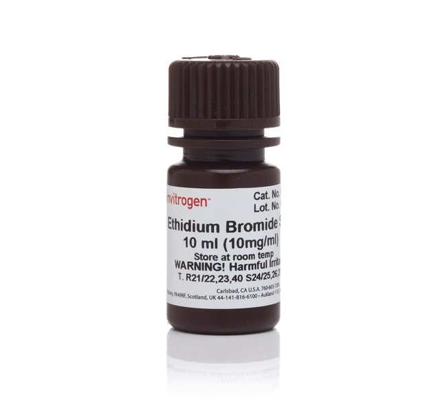 Краситель Ethidium Bromide, UltraPure, Thermo FS