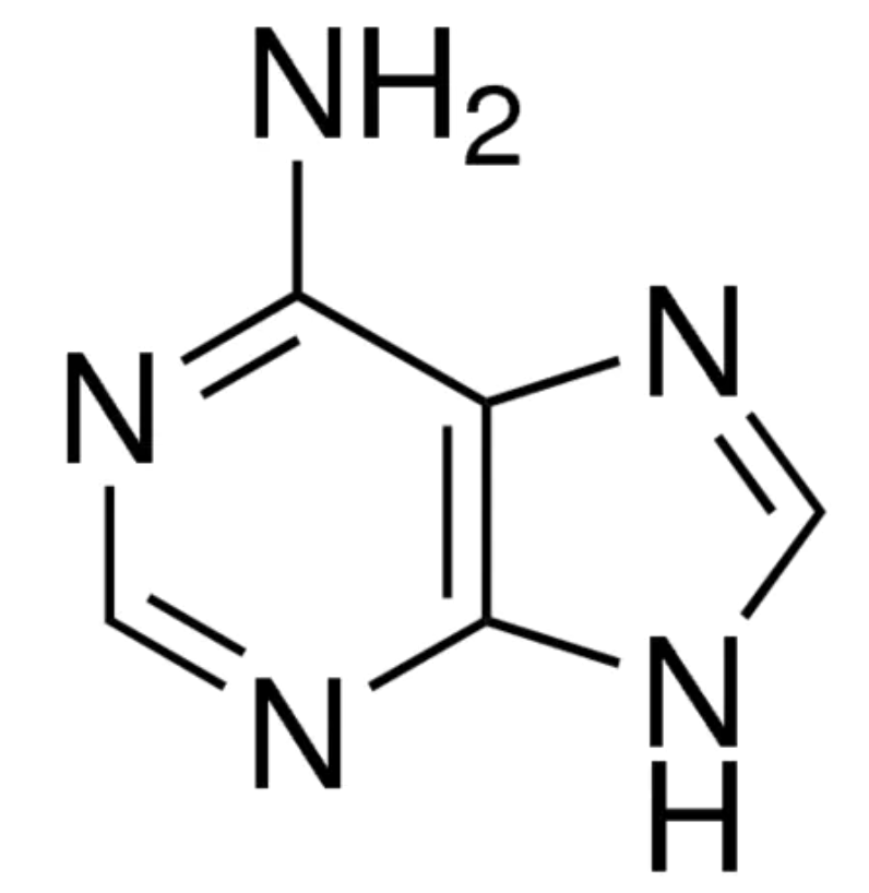 Аденин, 98,5-101%, CDH