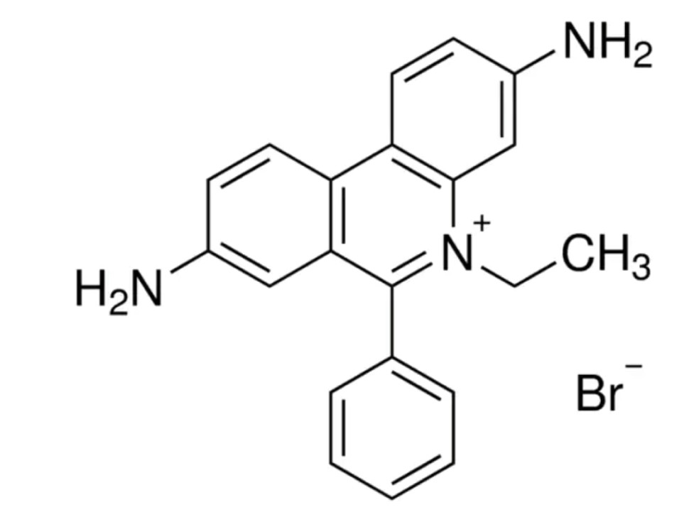 Краситель Ethidium bromide, для молекулярной биологии, CDH