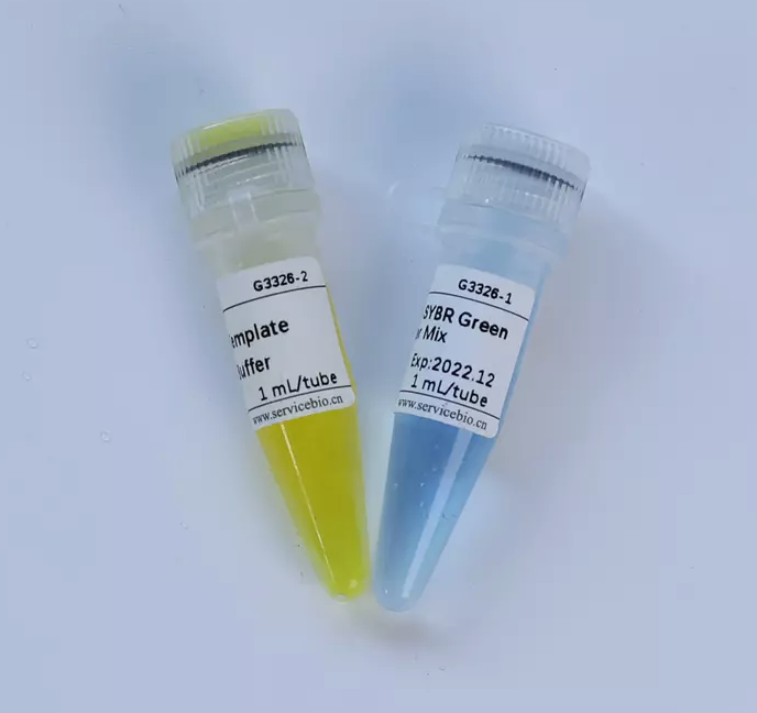 Мастермикс для ПЦР 2×Universal Blue SYBR Green qPCR Master Mix With 40×Yellow Template Dilution Buffer, Servicebio, Китай