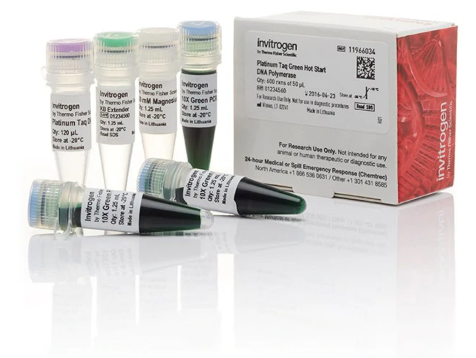 ДНК-полимераза Platinum Taq Green Hot Start DNA Polymerase, Thermo FS