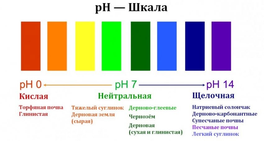 Поточная линия Диметрон для определения кислотности (pH) в почвенных растворах