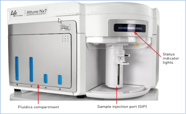 Проточный цитофлуориметр, до 4 лазеров, до 14 флуоресцентных параметров, с УЗ-фокусировкой, Attune NxT, Thermo FS