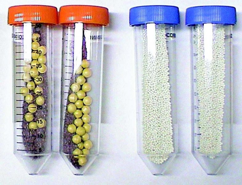 Пробирки 50 мл Lysing Matrix A с гранатовым песком и керамич. шариками, 100 шт./уп., MP Biomedicals