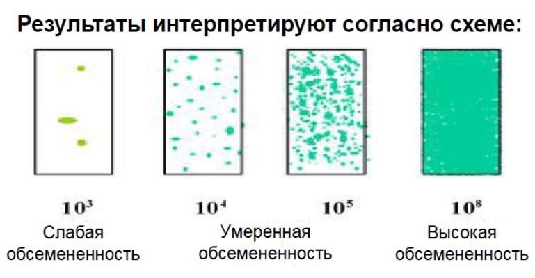 Микробиологические экспресс-тесты для определения КМАФАнМ (ОМЧ) и БГКП, двухсторонние, Dip-Slides, 10 шт/уп, Thermo FS