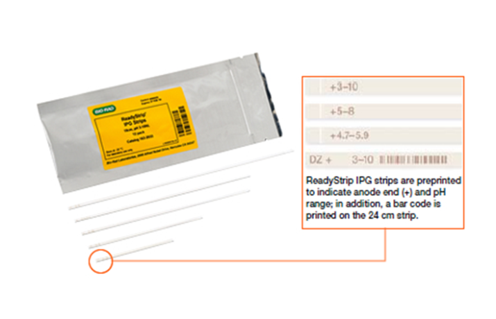 Стрип IPG готовый, 7 см, pH 3–10, 12 шт/уп, Bio-Rad