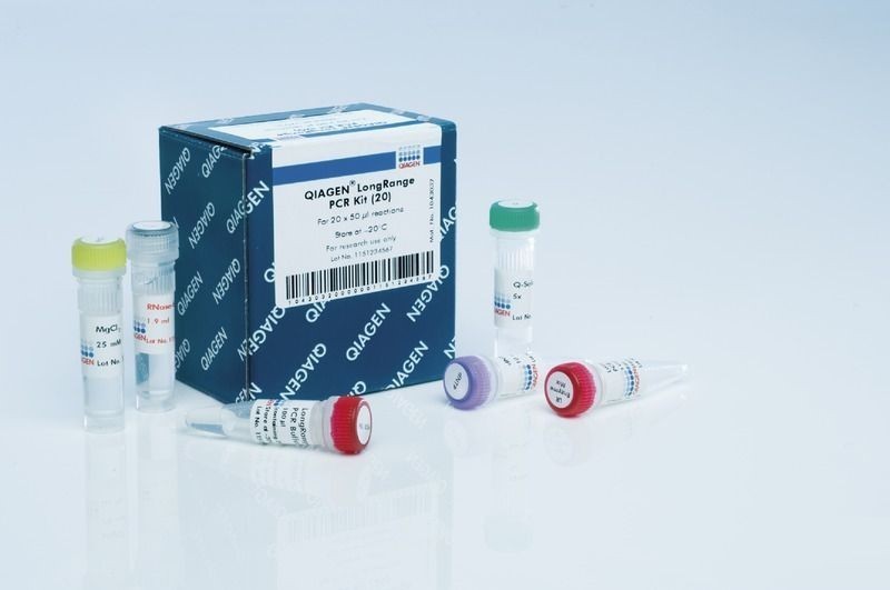 Мастер-микс для амплификации длинных фрагментов LongRange PCR Kit, Qiagen