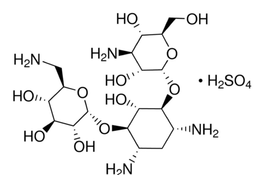 Канамицин сульфат, AR, 95-105 %, CDH (аналог арт. 1162GR050, BioFroxx)