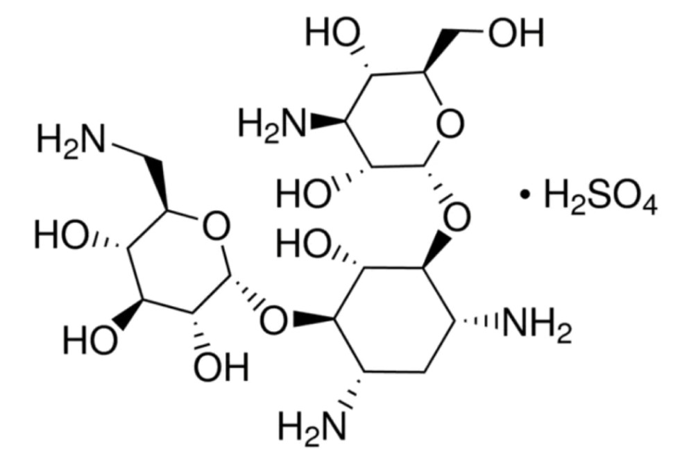 Канамицин сульфат, USP, Servicebio, Китай