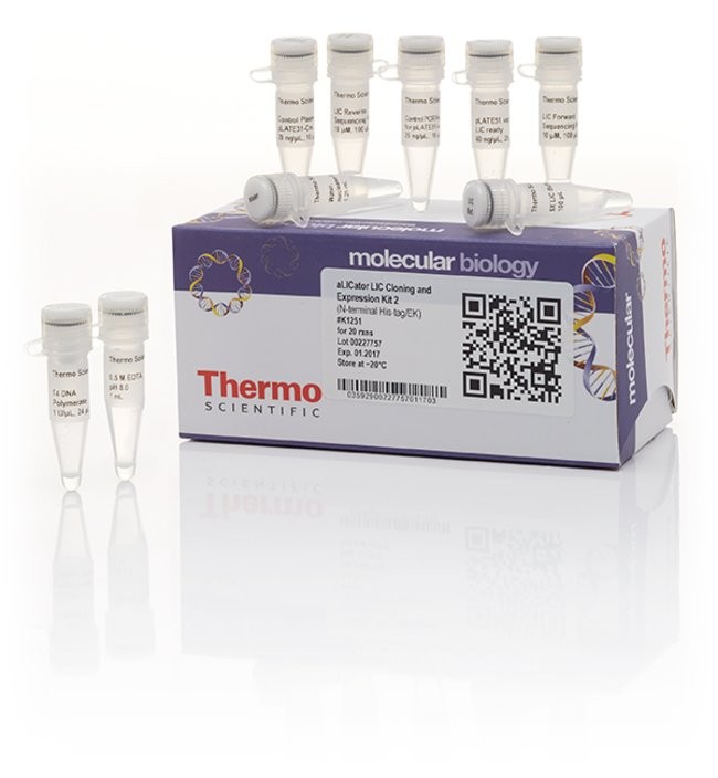 Набор для безлигазного клонирования aLICator LIC Cloning and Expression Kit 2, Thermo FS