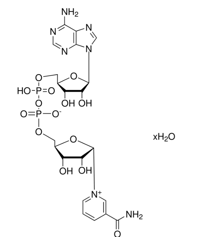 НАД (Никотинамид-β-аденин динуклеотид, NAD), не менее 98%, Импорт