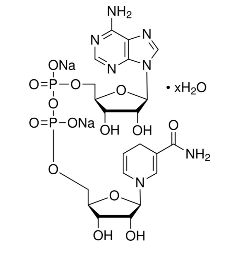 НАДН-Na2(Никотинамид-β-аденин-динуклеотид, NADH-Na2) динатриевая соль, не менее 93%, Импорт