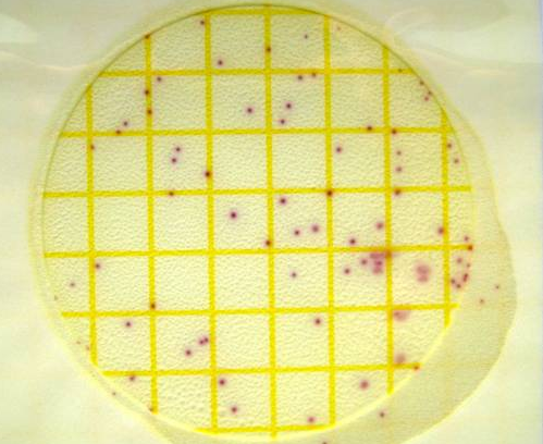 Микробиологические экспресс-тесты для определения Staphylococcus aureus, за 24-48 ч, Petrifilm, 25 шт./уп., 3M (аналоги арт. 61893, Kikkoman; арт. KGR002, Ringbio)