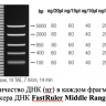 Маркер длин ДНК FastRuler Middle Range, 5 фрагментов от 50 до 1500 п.н., готовый к применению, Thermo FS
