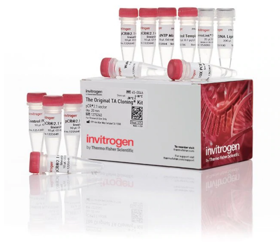 Набор для клонирования TA Cloning Kit, with pCR 2.1 Vector, компетентные клетки не включены, Thermo FS